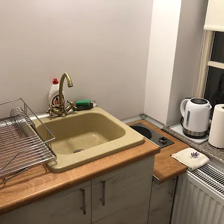 Cozy Apartamento Braşov